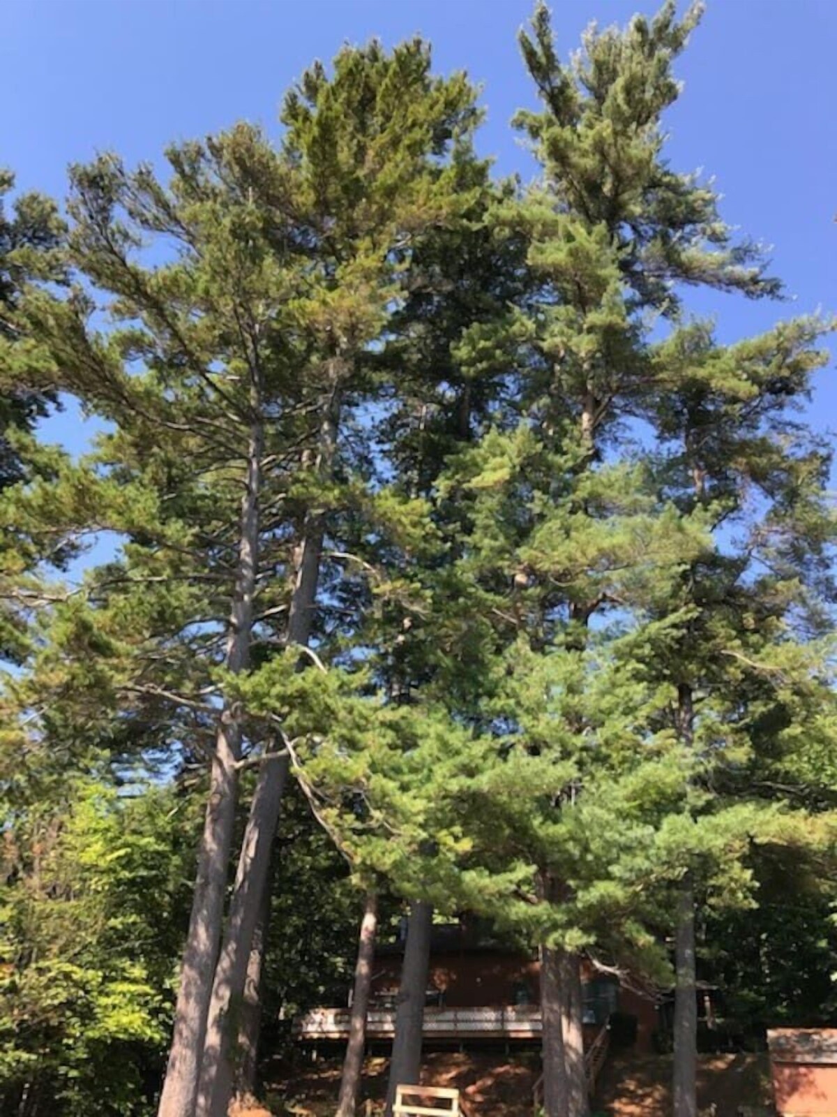 Lakefront home private beach on Schroon Lake