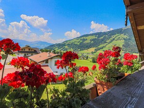 Terrasse / Balcon