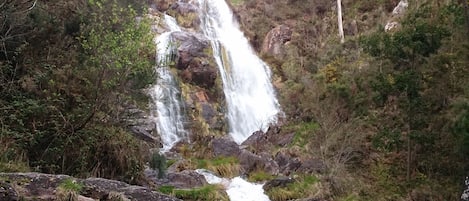 Terrenos do alojamento