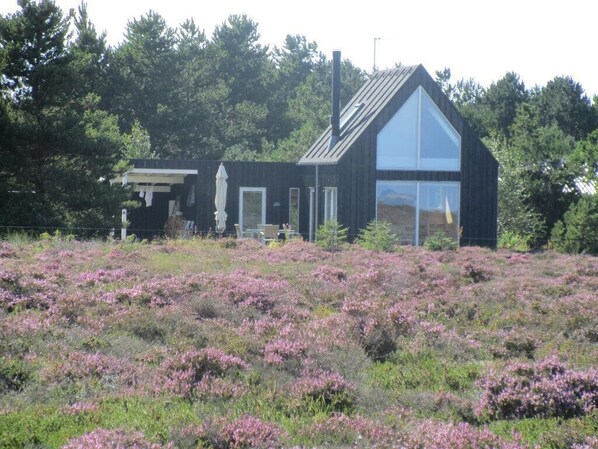 house