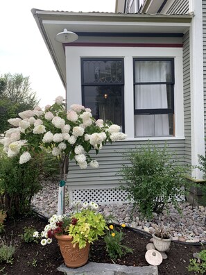 Lots of landscaping to enjoy!