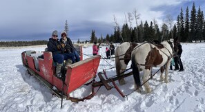 Skidåkning och snöaktiviteter