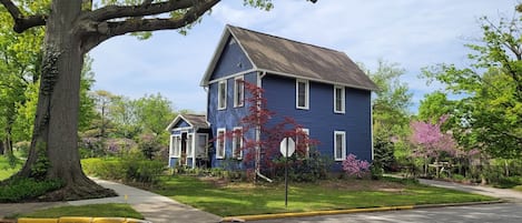 The Corner Cottage!...With the largest oak tree in all of South Haven!