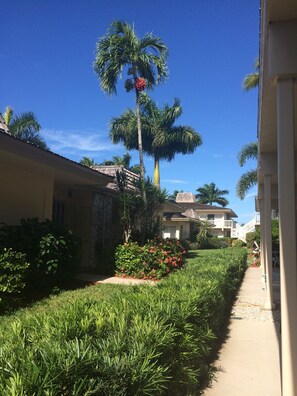 View from the ground floor patio.