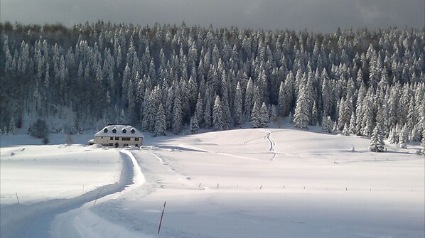 Snow and ski sports