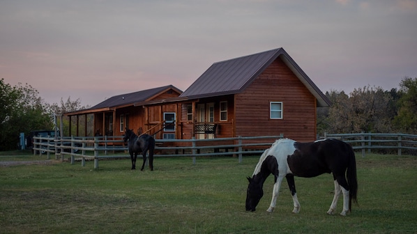 Cabin is cabin on left. 