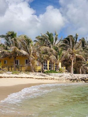 Taken after snorkeling! Castaway Palms Beach front house!