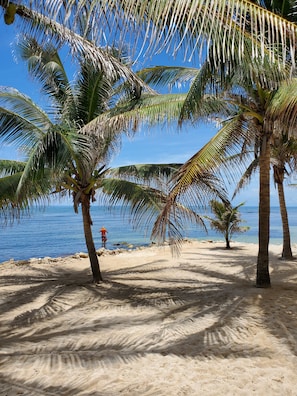 Fishing by our beach is excellent!