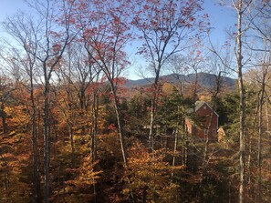 View of Bigelow from the street behind the house. 