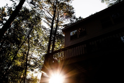 The Tiny House Tree House