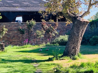 Cosy Countryside Cottage