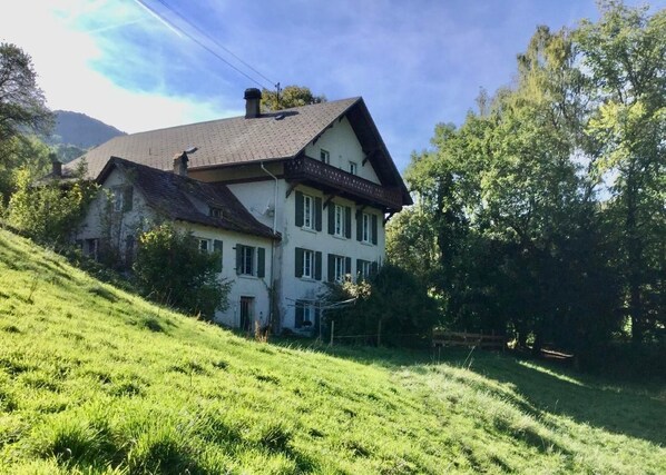 Exteriör