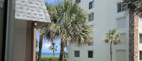 View from the bedrooms (from the right angle)