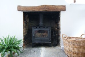 Living room wood burner