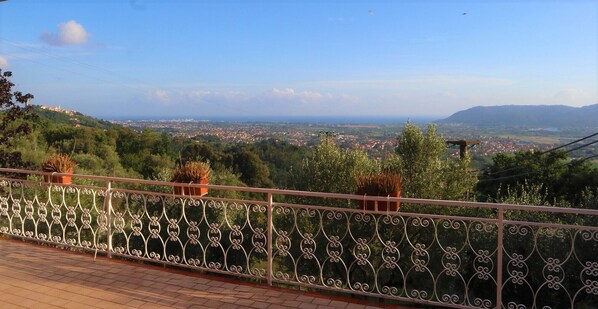 View from the terrace