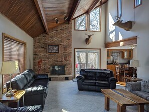 Electric Fireplace insert