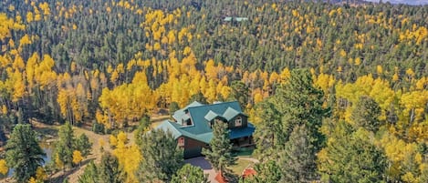 Welcome to Honey Bear Ranch and Beautiful Colorado