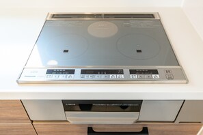Induction stove