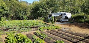 Our RV on the Farm