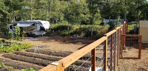 Large Deer Fence