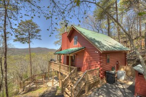 A Birds Eye View - Cherry Log, GA