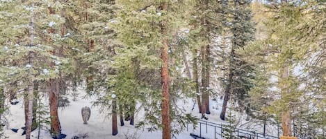 Serene Winter Paradise Is Yours
