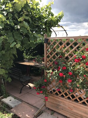 Pergola