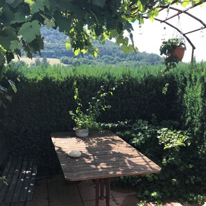 Pergola