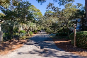 Beach Path. 2