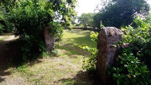 Le jardin privé de la maison