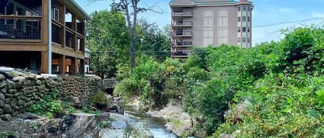 Gorgeous Waterfront Cabin Near Downtown Gatlinburg, TN!