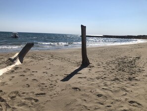 Soweit das Auge reicht: Sonne, Strand, Dünen und Meer