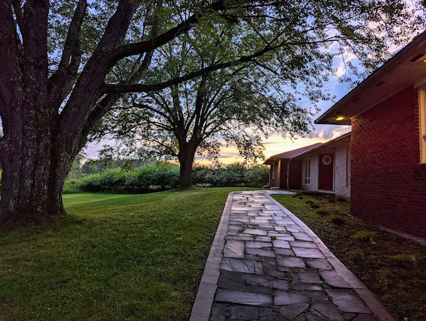 The front stone walkway 