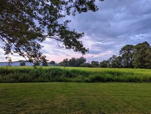 Back yard view