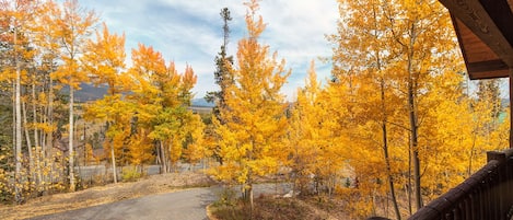 View from Deck