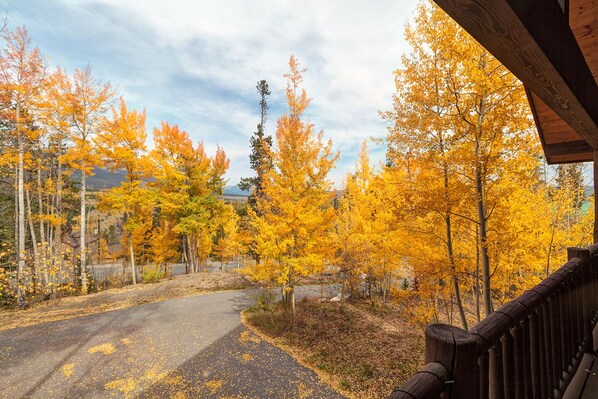 View from Deck