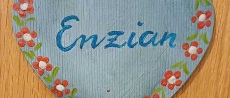 Detalle interior