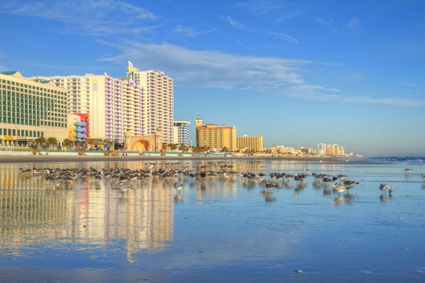 Playa