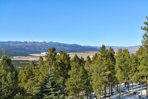 View of Wheeler Peak