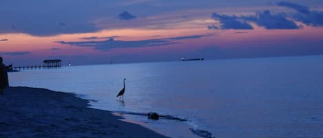 Breathtaking sunset from private beach.