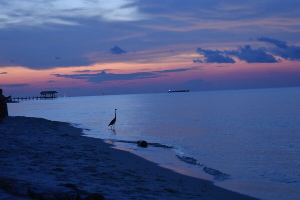 Breathtaking sunset from private beach.