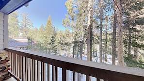 Balcony with Forest Views
