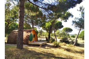 Enceinte de l’hébergement