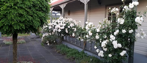 Jardines del alojamiento