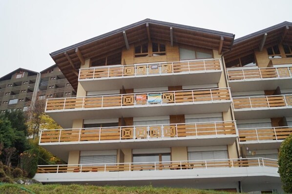 Picture 1