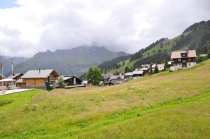 Image 4
