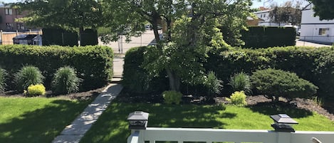 front yard off of the deck. 