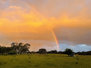 Look for the pot of gold ☘️