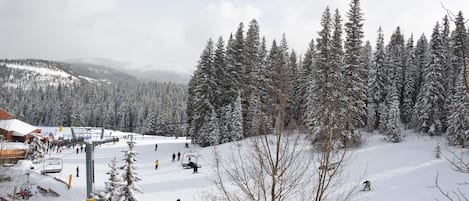 Sneeuw- en skisporten