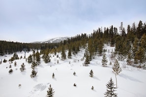 Sports dâhiver